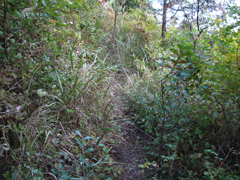 20161104hike (214)